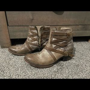 Freebird by Steven Sammi